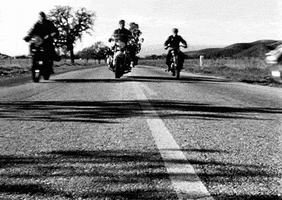 the wild one motorcycle GIF by Maudit