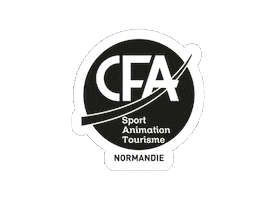 CFA SAT NORMANDIE Sticker