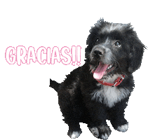 Thanks Love Sticker by heyencadaetapa