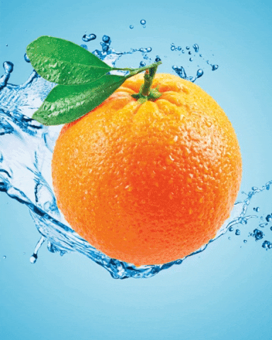 Orange Slice GIF by Yanga Sports Water - Find & Share on GIPHY
