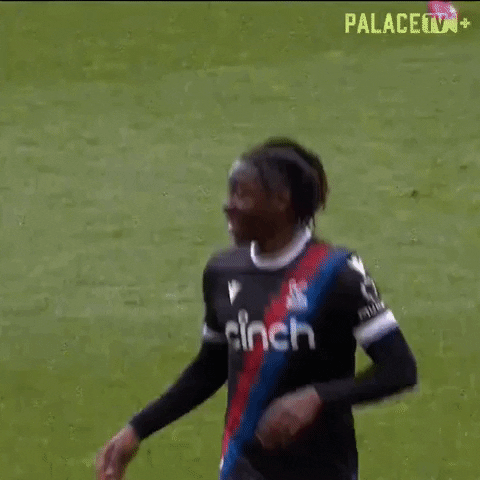 Premier League Applause GIF by Crystal Palace Football Club