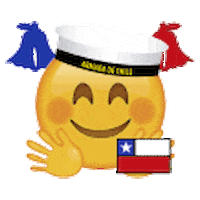 Fiestas Patrias Chile Sticker by ArmadadeChile