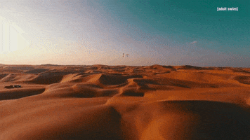 Sand Dune Love GIF by Adult Swim