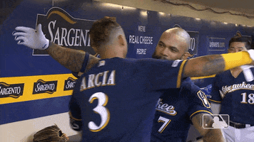Regular Season Hug GIF by MLB