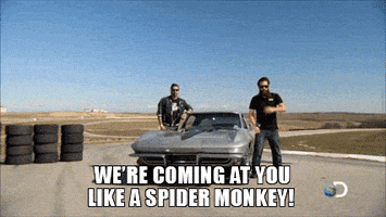discovery channel lol GIF