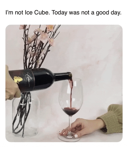 LeahVanDale cheers wine drinks happy hour GIF