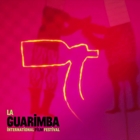 Let Go Dancing GIF by La Guarimba Film Festival