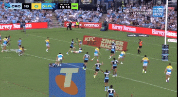 Sharks Nrl GIF