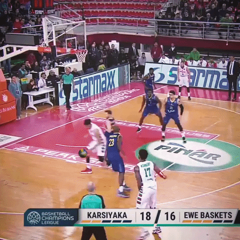 Ewe Baskets Volleyball GIF by Basketball Champions League