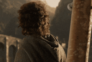 Happy Lord Of The Rings GIF by MOODMAN