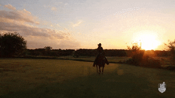 Sunset Gallop GIF by University of Central Missouri