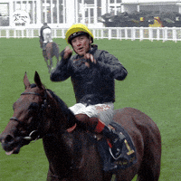 Ascot Racecourse Gif Find Share On Giphy Ascot Racecourse Gif Find Share On Giphy
