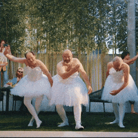 Balerina GIFs - Get the best GIF on GIPHY