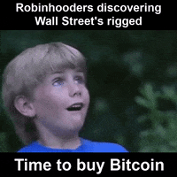 Bitcoins Bitcoin Meme GIF by Bitcoin & Crypto Creative Marketing
