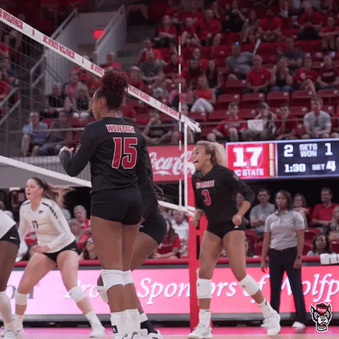 Block Parchment GIF by NC State Athletics