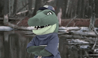 Proud Of You Yes GIF by Florida Gators