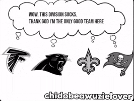 Nfl Panthers GIF