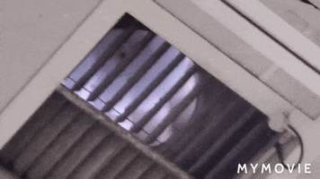 Fan GIF