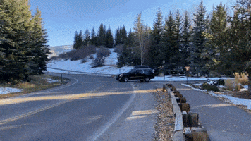 Travel GIF