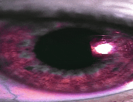 Music video gif. A scene from Cypress Hill's music video of a zoomed in eyeball. The eyeball is purple and the pupil is dilating quickly.