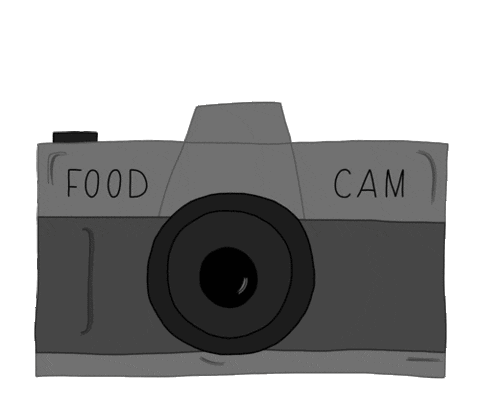 Animated Camera Flash Gif