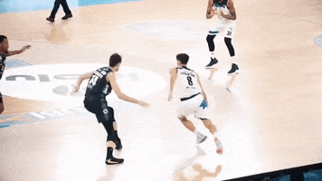 Luca Vitali Basketball GIF by Basket Brescia Leonessa