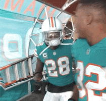 Miami Football Dance GIF by Miami Dolphins