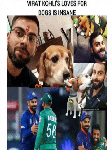 Kohli GIF