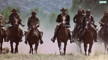 Arriving William Holden GIF by Turner Classic Movies