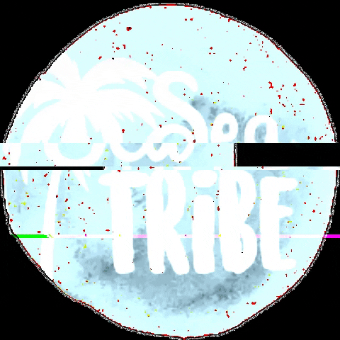 seatribee GIF