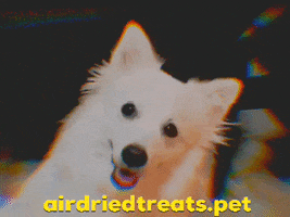 airdriedtreats.pet GIF