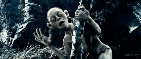 The Lord Of The Rings Reaction GIF