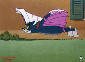 tom and jerry cat GIF by Boomerang Official