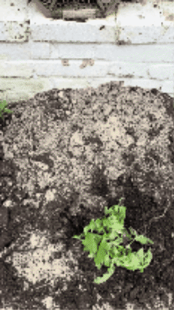GIF by Omroep Zeeland