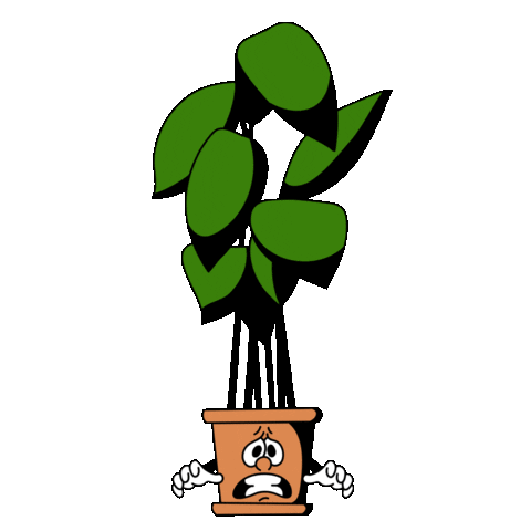 The Beechworth Conservatory Sticker