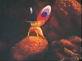 Payut Ngaokrachang GIF