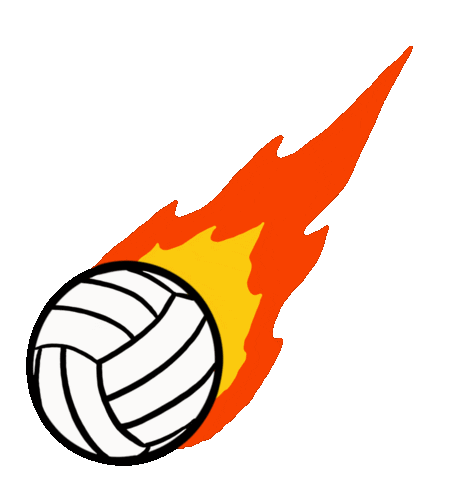 Beach Volleyball Sport Sticker by Jake Martella
