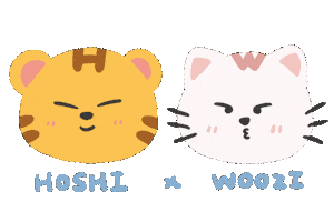세븐틴 Carat Sticker