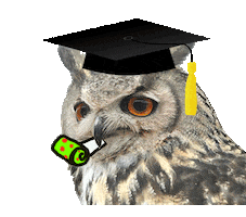 Owl Graduation Sticker by Háskóli Íslands