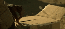 horror thriller 7 seven whats in the box GIF