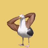 Workout Gym GIF by molly