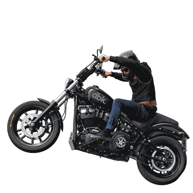 Harley Davidson Moto Sticker by Dirt Bike Kidz