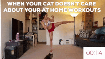 At Home Workout GIF