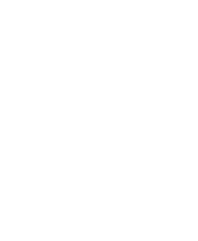 Q-Dance Festival Sticker by Deetox