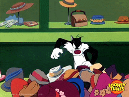 Black Friday Cat GIF by Looney Tunes