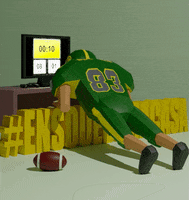 Football Nfl GIF by IMPERIALSREUS