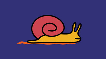 Loop Snail GIF by zuggamasta