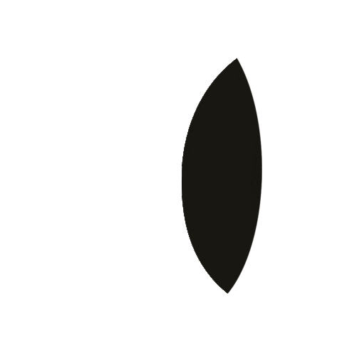 Eyes Sticker