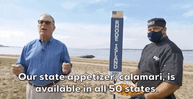 Rhode Island Calamari GIF by Election 2020