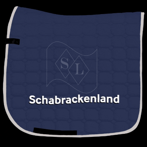 schabrackenland GIF